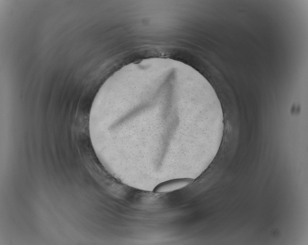 X0000113000096200909171416