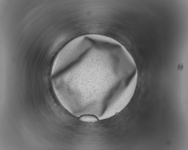 X0000113000098200909171415