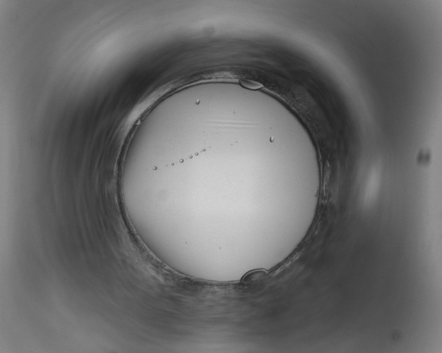 X0000113000099200909171415