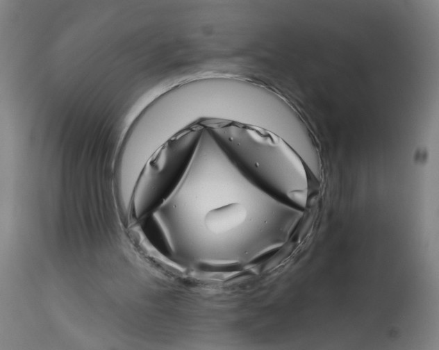 X0000113000100200909171415