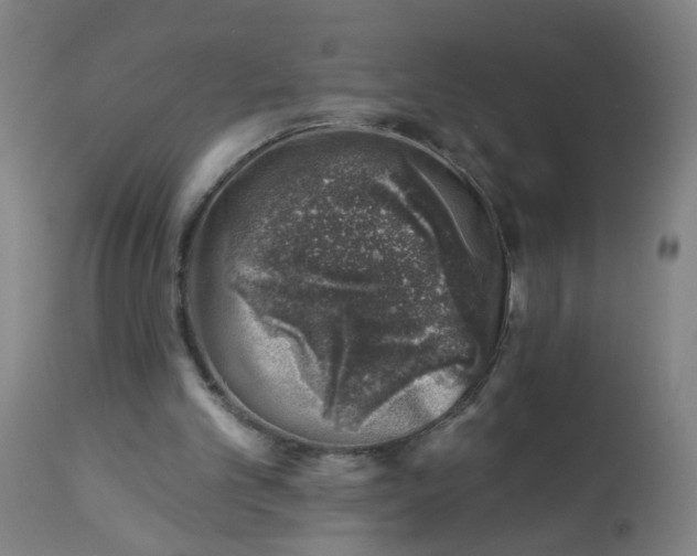 X0000113000101200909171415