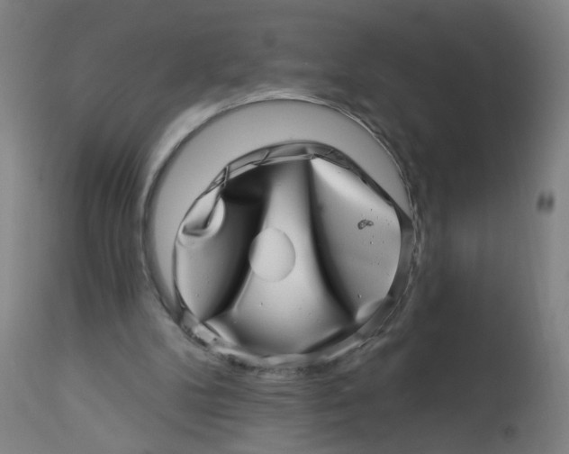 X0000113000104200909171415