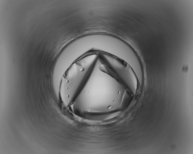 X0000113000105200909171415