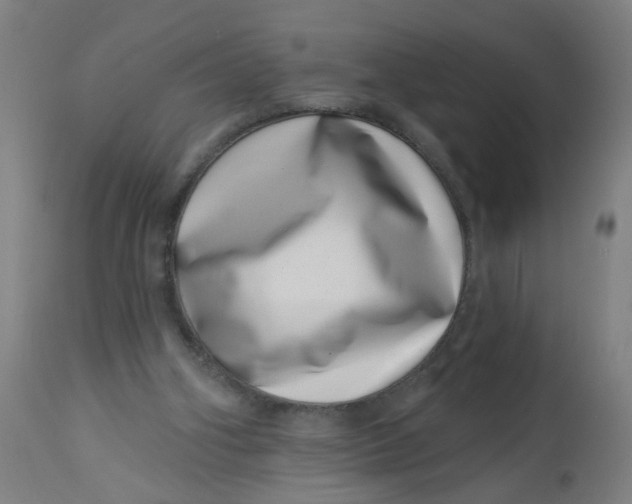 X0000113000106200909171415