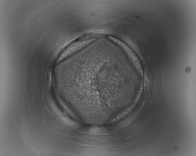 X0000113000109200909171415