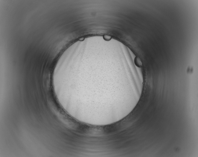 X0000113000110200909171415