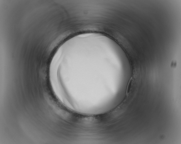 X0000113000112200909171415