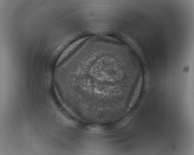 X0000113000113200909171415