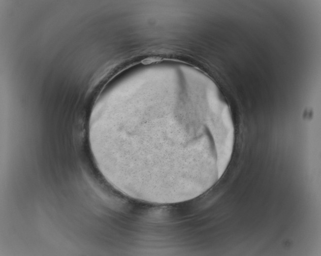 X0000113000116200909171415