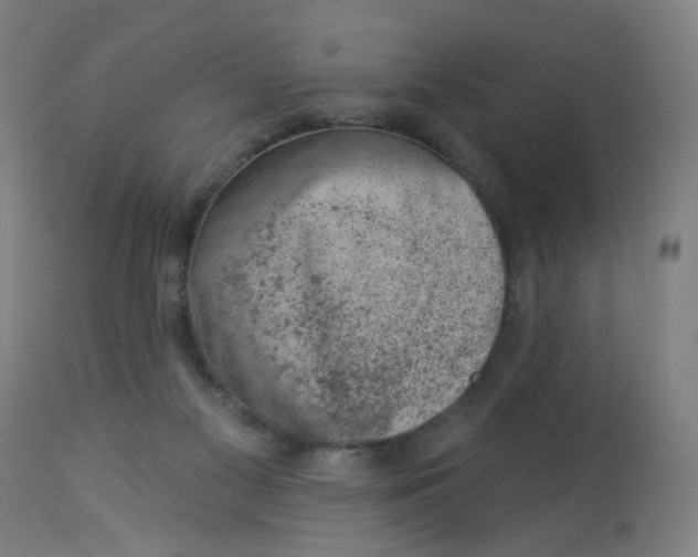 X0000113000117200909171415