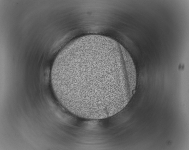 X0000113000118200909171415