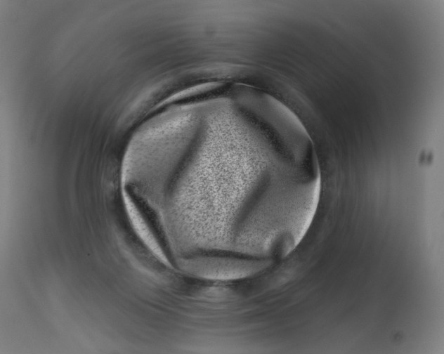 X0000113000119200909171415