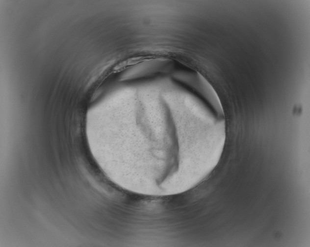 X0000113000120200909171415