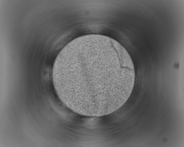 X0000113000122200909171415