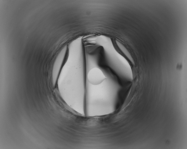 X0000113000124200909171415