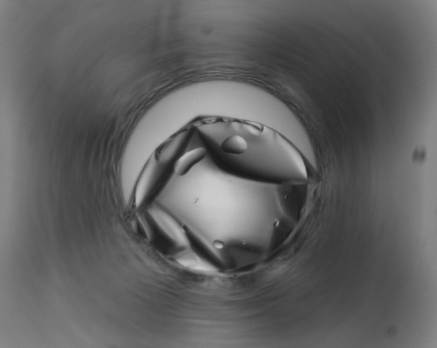 X0000113000125200909171415