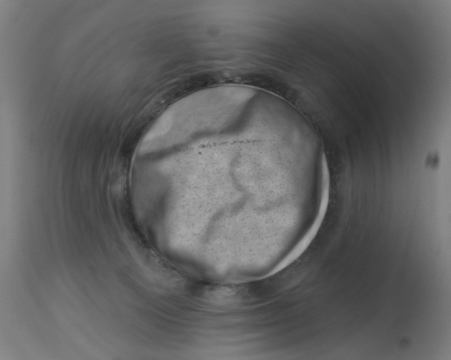 X0000113000129200909171415