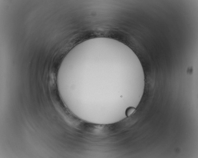 X0000113000130200909171415