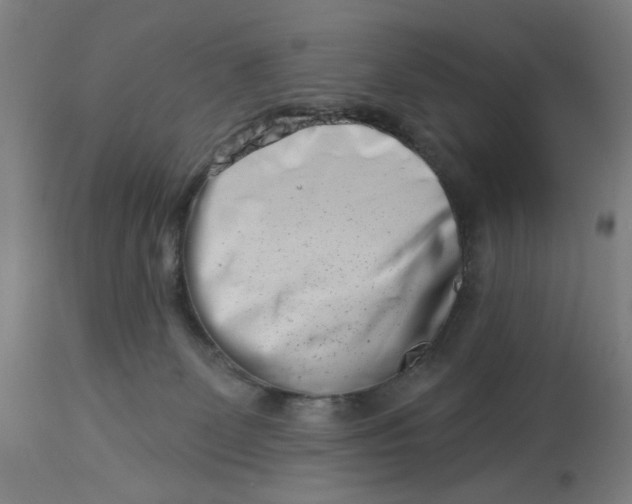 X0000113000131200909171415