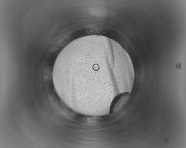 X0000113000134200909171415