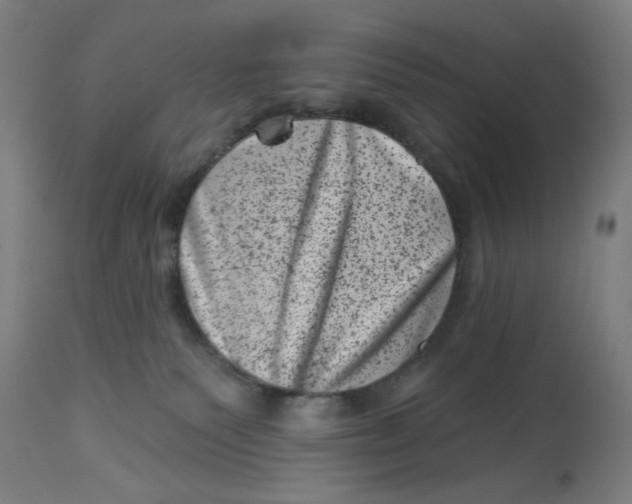 X0000113000135200909171415