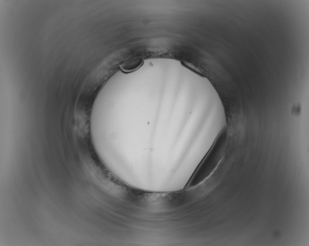 X0000113000136200909171415