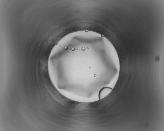 X0000113000138200909171415