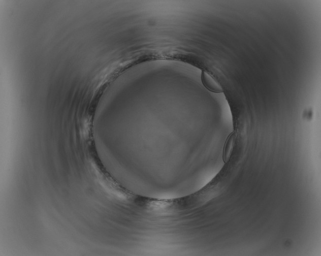 X0000113000139200909171415