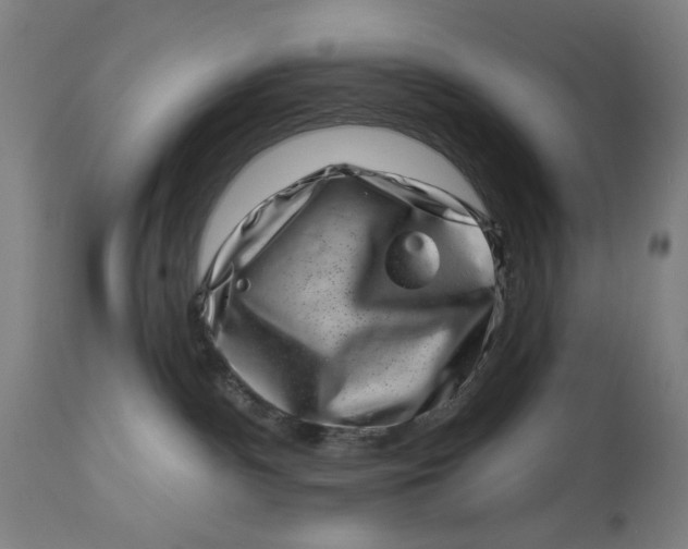 X0000113000140200909171415