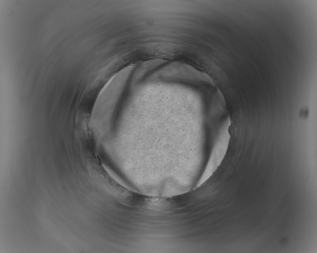 X0000113000141200909171415