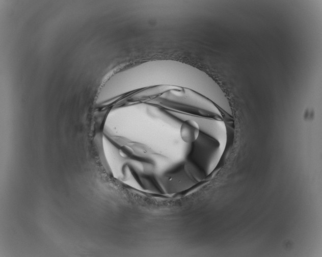 X0000113000144200909171415