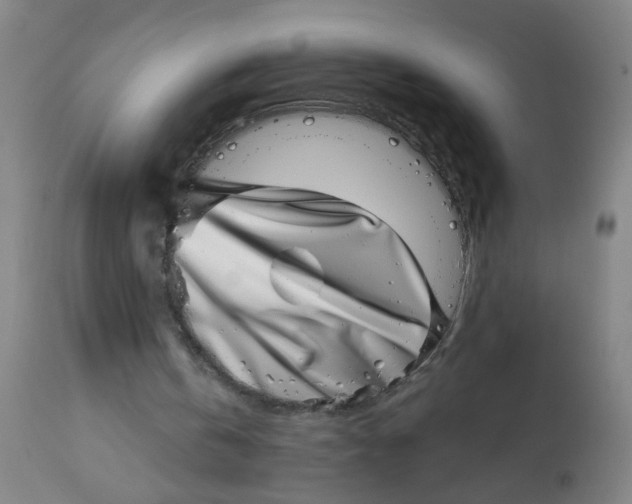 X0000113000146200909171414