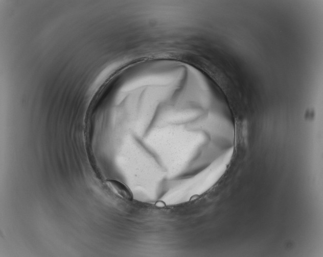 X0000113000147200909171414