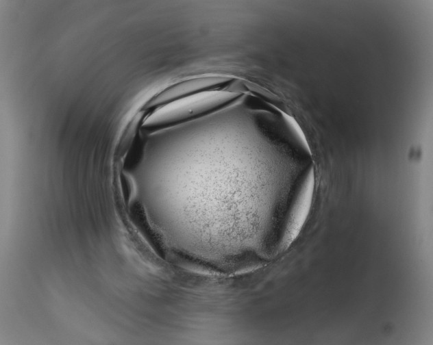 X0000113000148200909171414