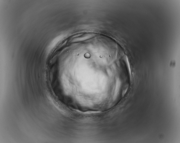 X0000113000149200909171414