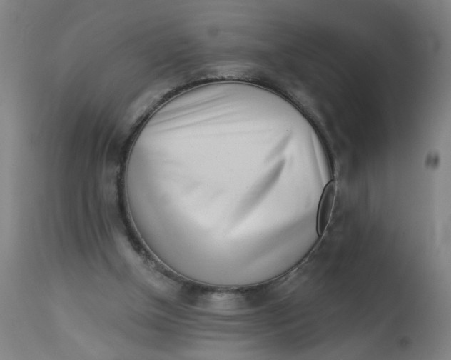 X0000113000154200909171414