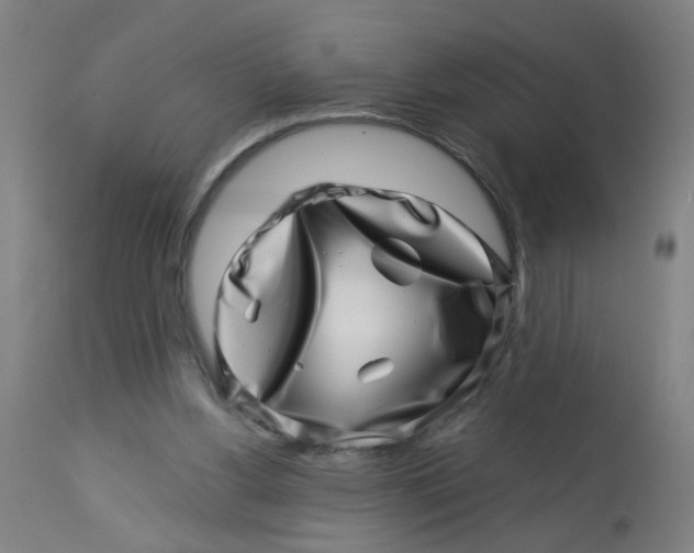 X0000113000156200909171414