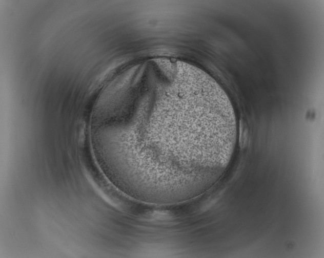 X0000113000157200909171414