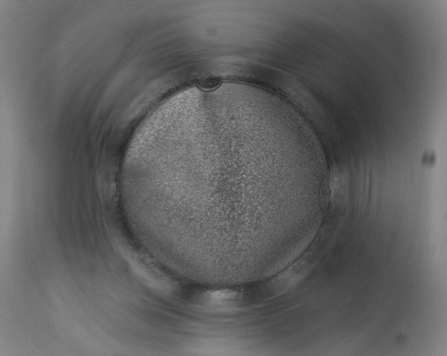 X0000113000158200909171414