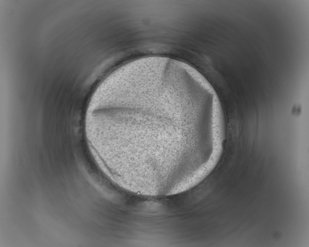 X0000113000159200909171414