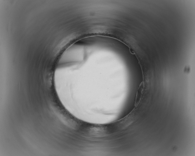 X0000113000160200909171414