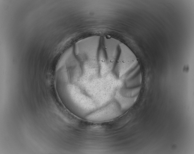 X0000113000161200909171414