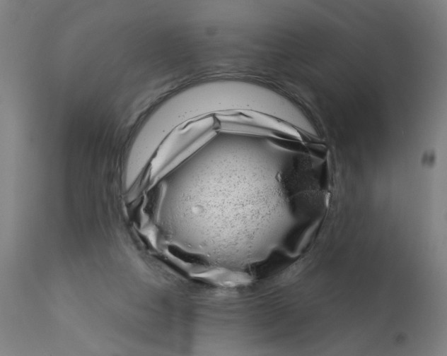 X0000113000162200909171414