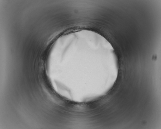 X0000113000164200909171414