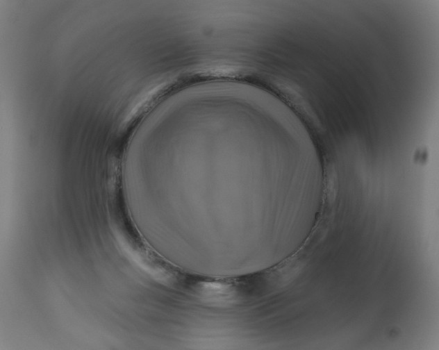 X0000113000167200909171414