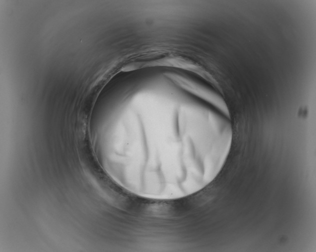 X0000113000168200909171414