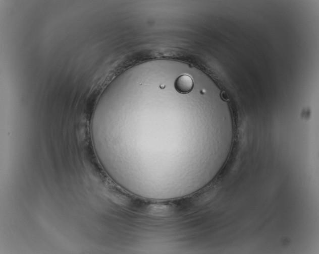 X0000113000169200909171414