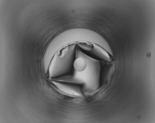 X0000113000172200909171414