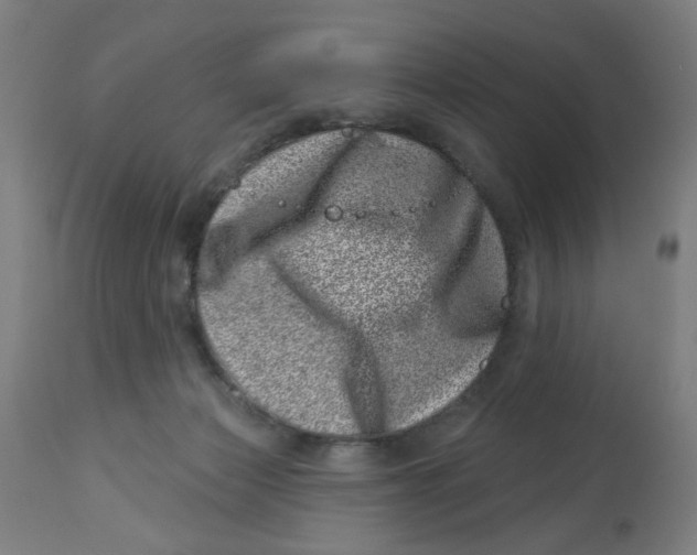 X0000113000173200909171414