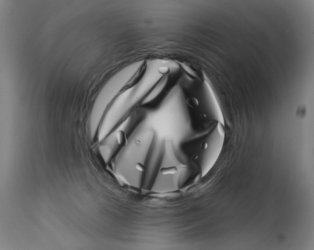 X0000113000180200909171415